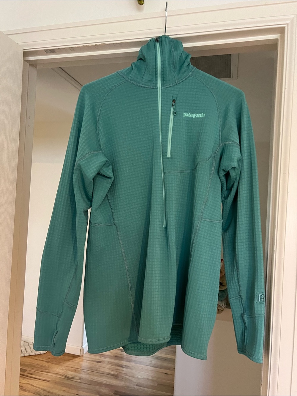 Patagonia Teal Green Half-Zip R-1 hoody